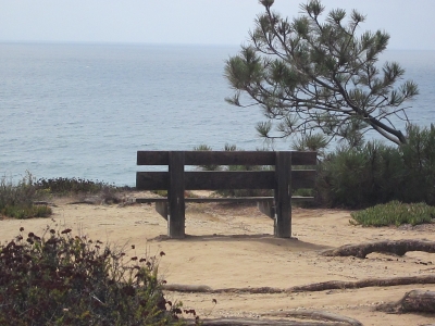 Bench overlooking Torrey Pines State Park